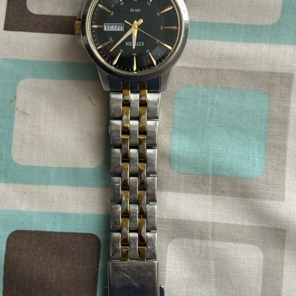 Citizen Silver and Gold Bag with Elegant Design